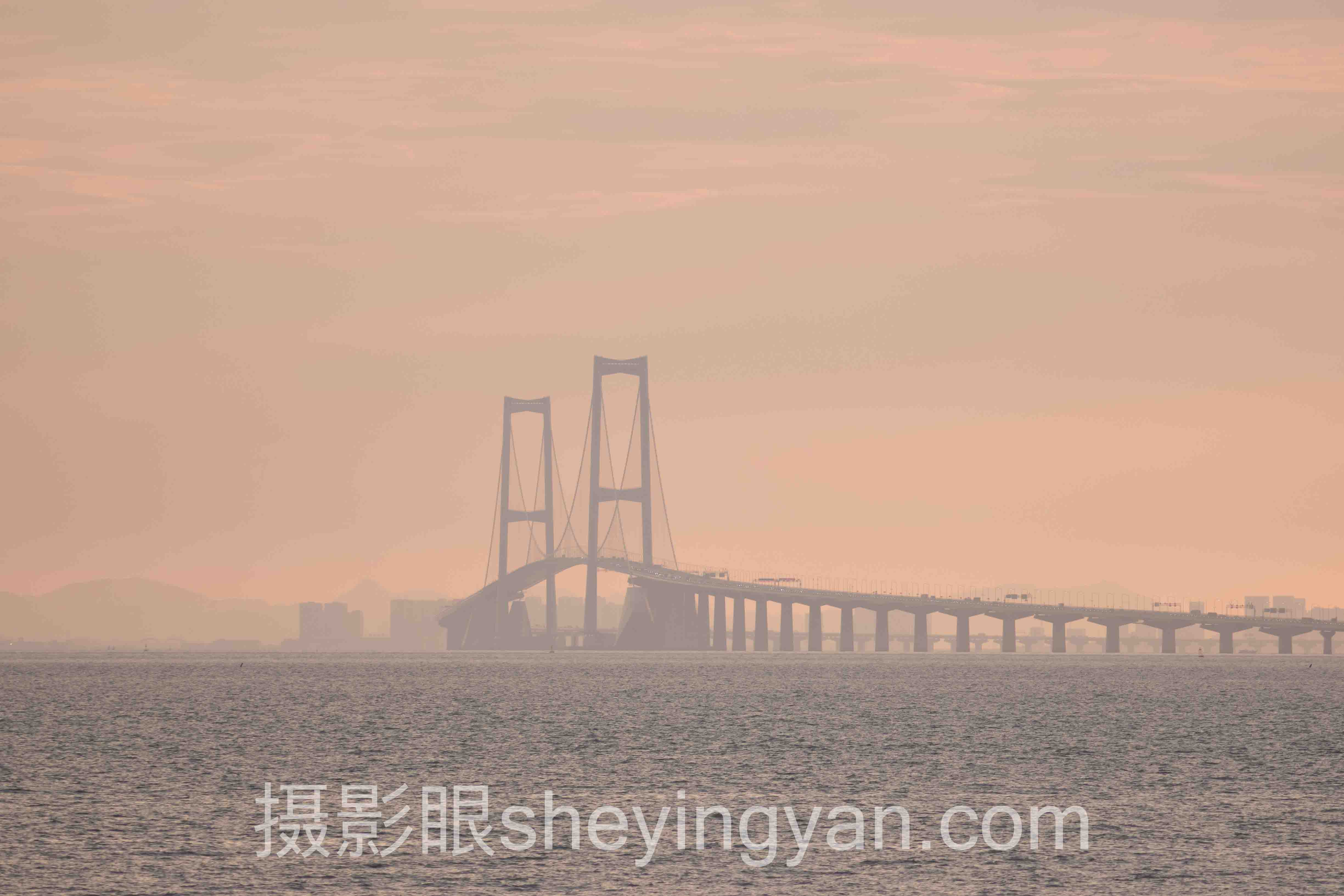 2024年AI照片评分与照片点评数据报告：关键趋势与洞察