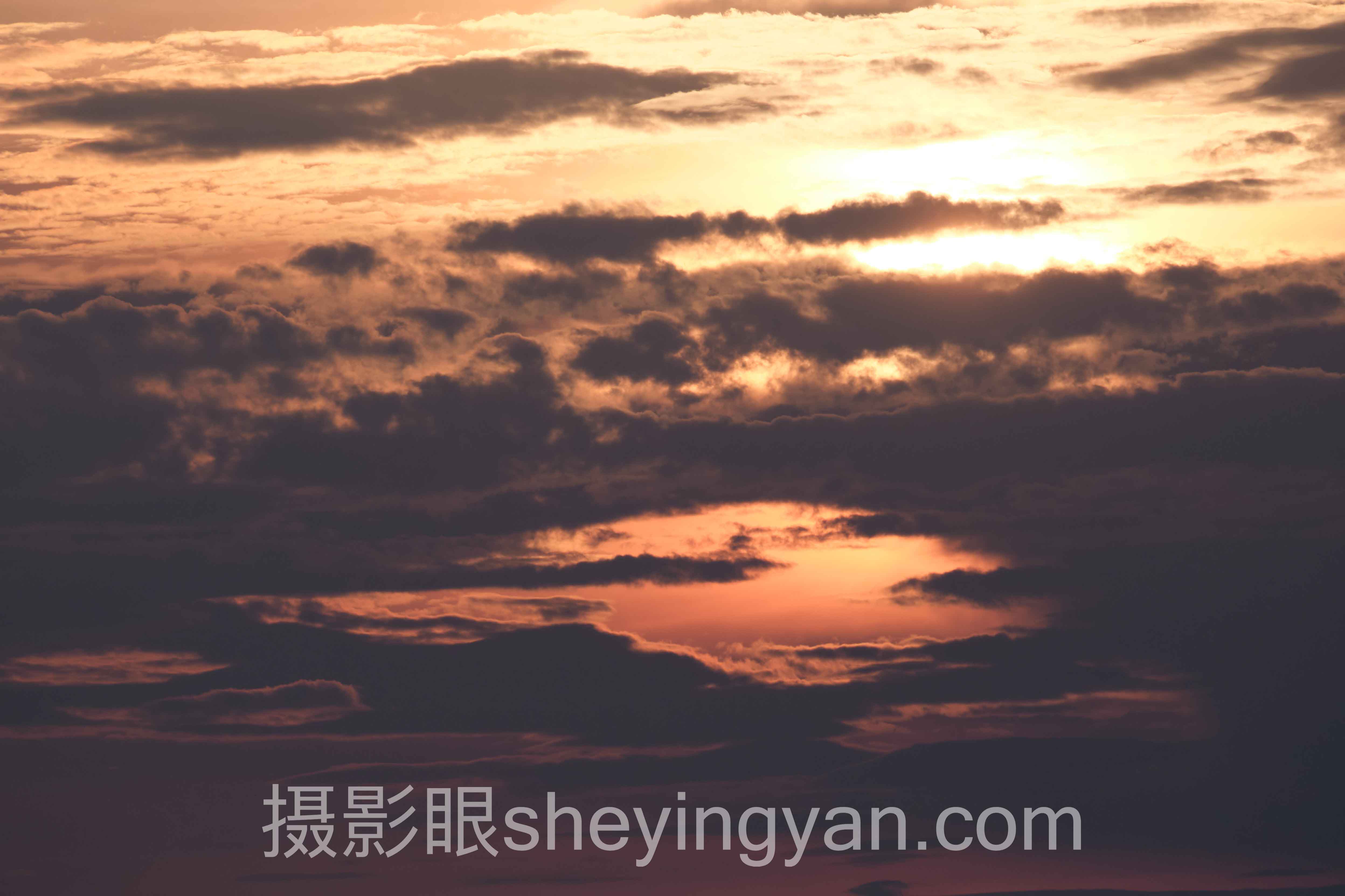 摄影眼平台年赛全景解读：问题根源与破局之道
