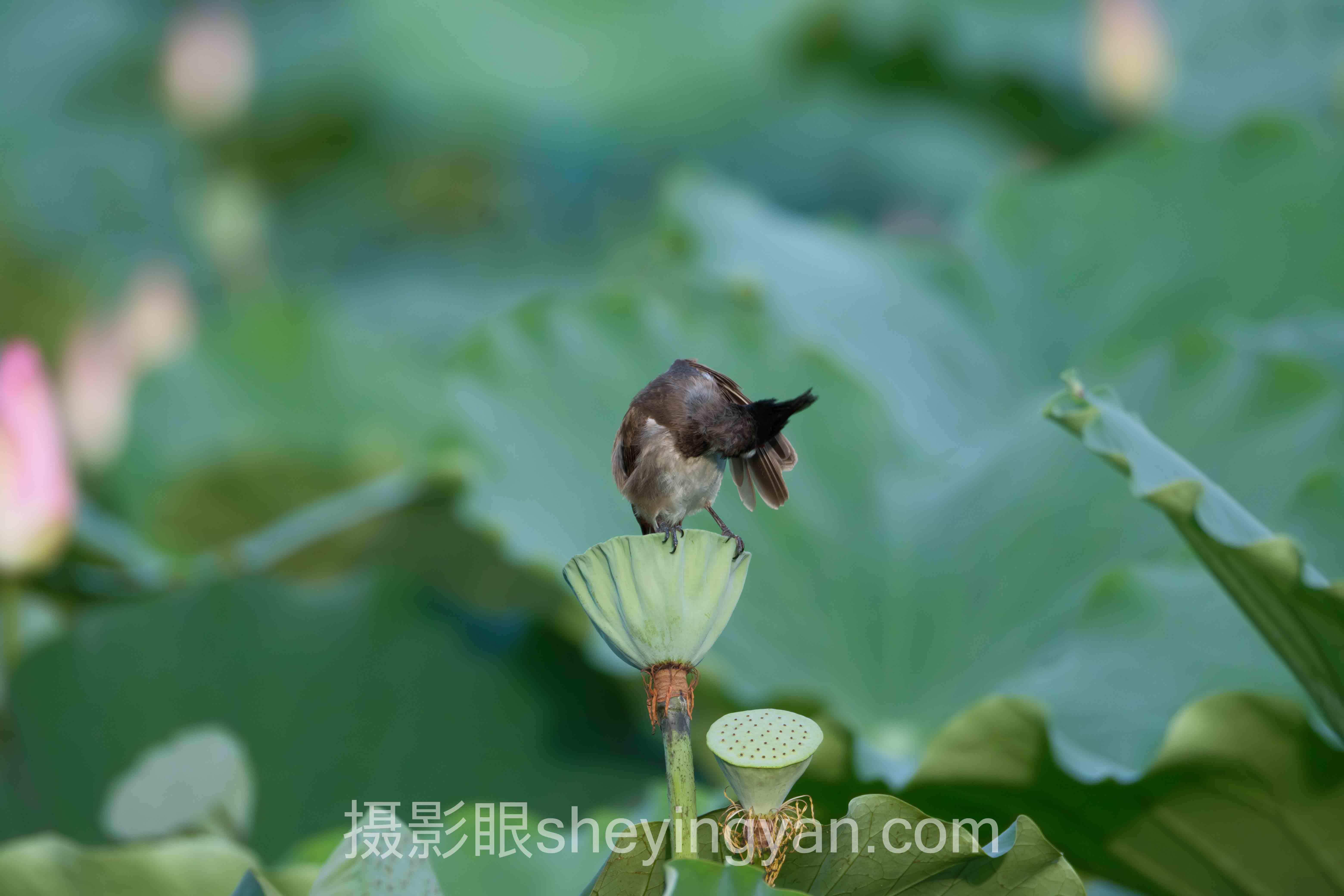 摄影眼培训班哪家好？主流方案横向对比，哪个更适合你