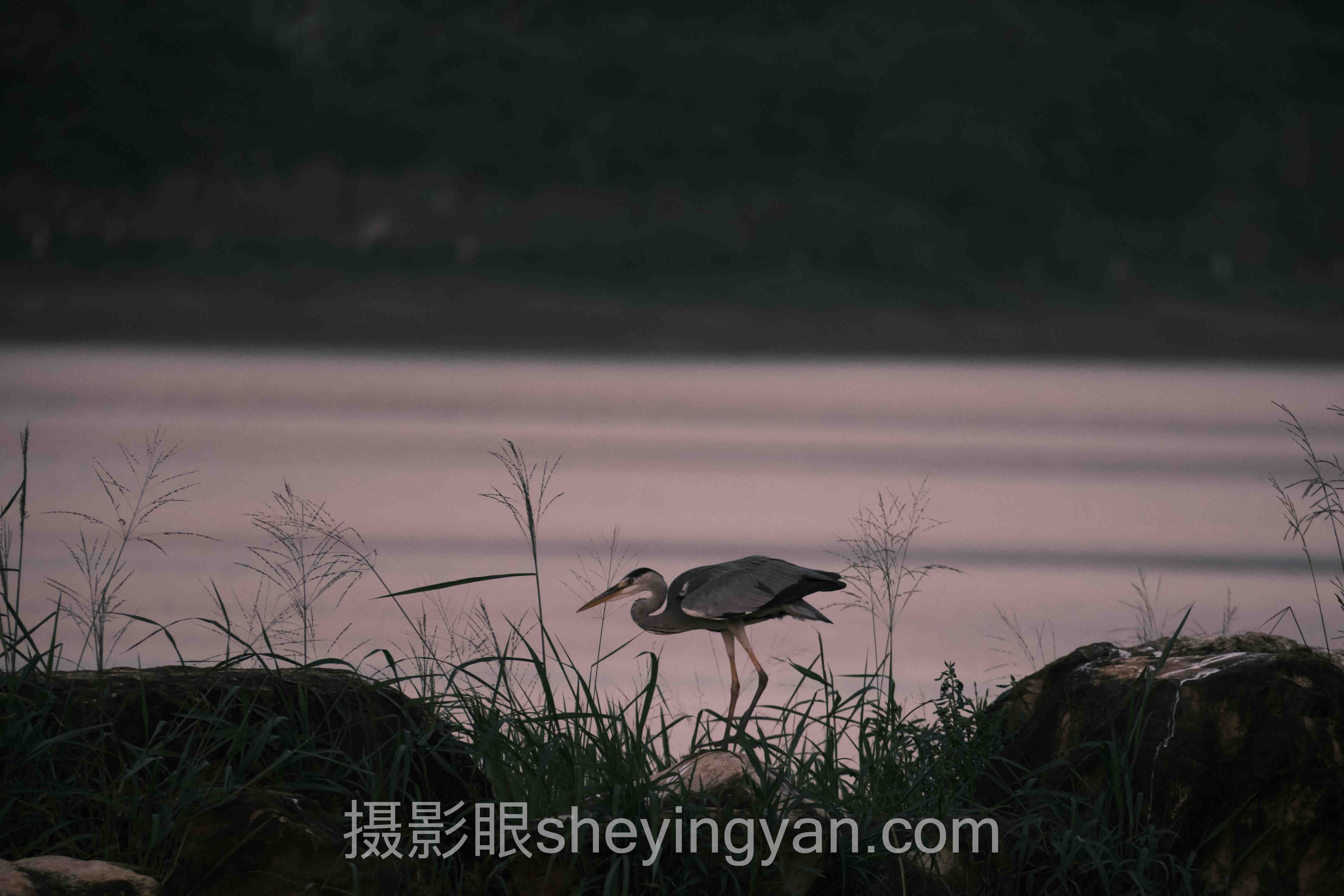 构图松紧控制避坑指南：5个关键要点全梳理