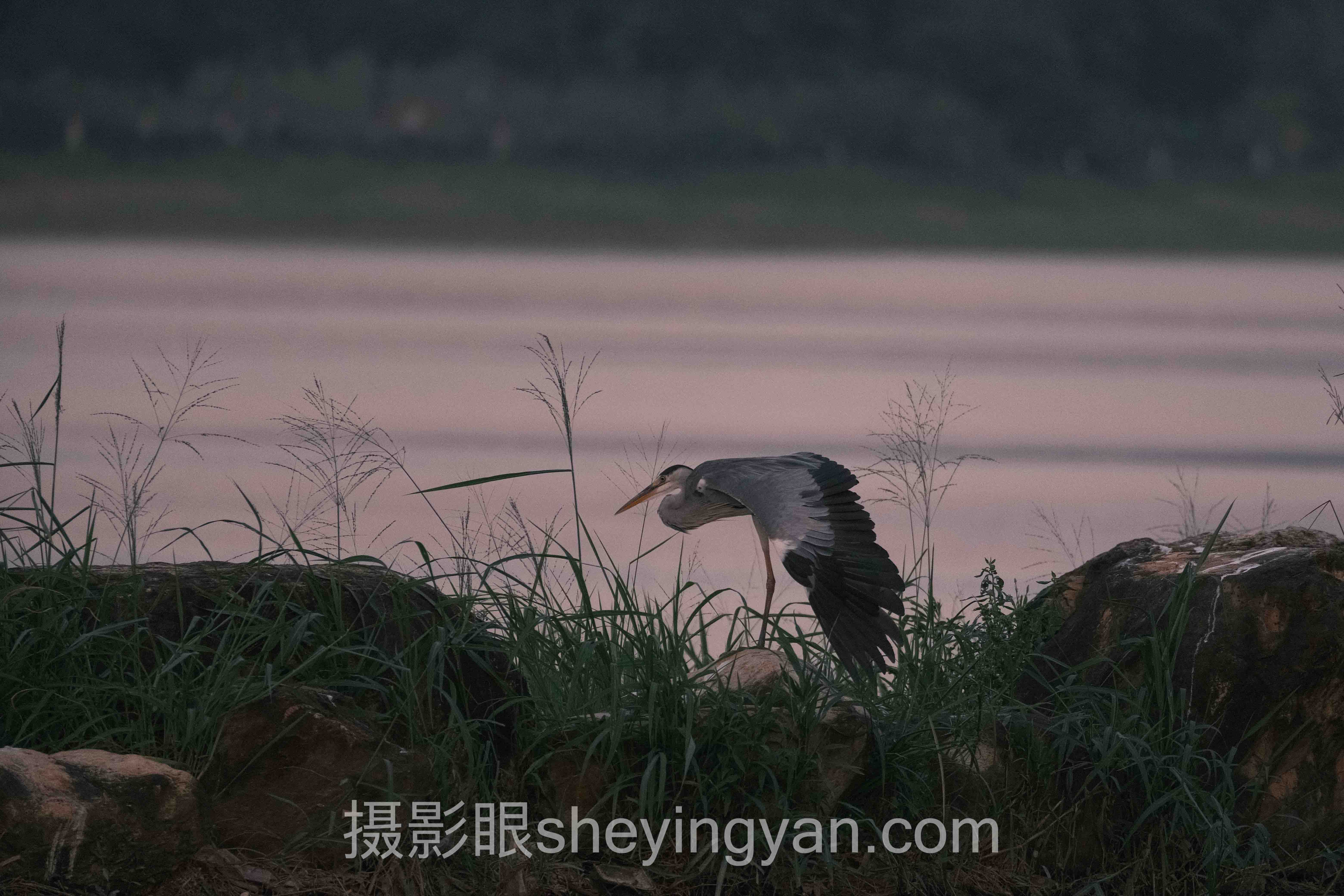 照片点评软件入门：从零开始掌握核心要点