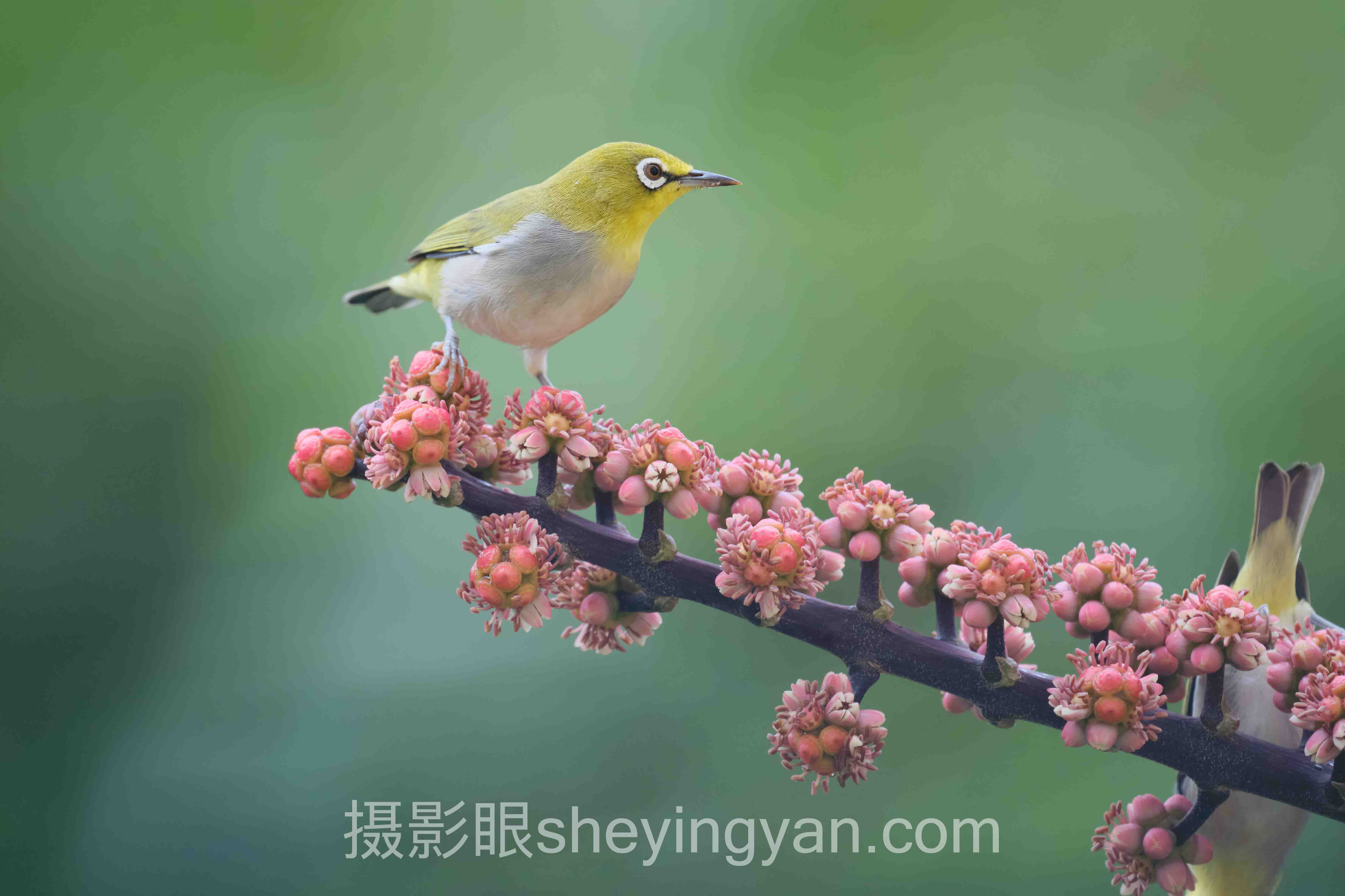 照片质量打分标准入门：从零掌握评片核心尺度