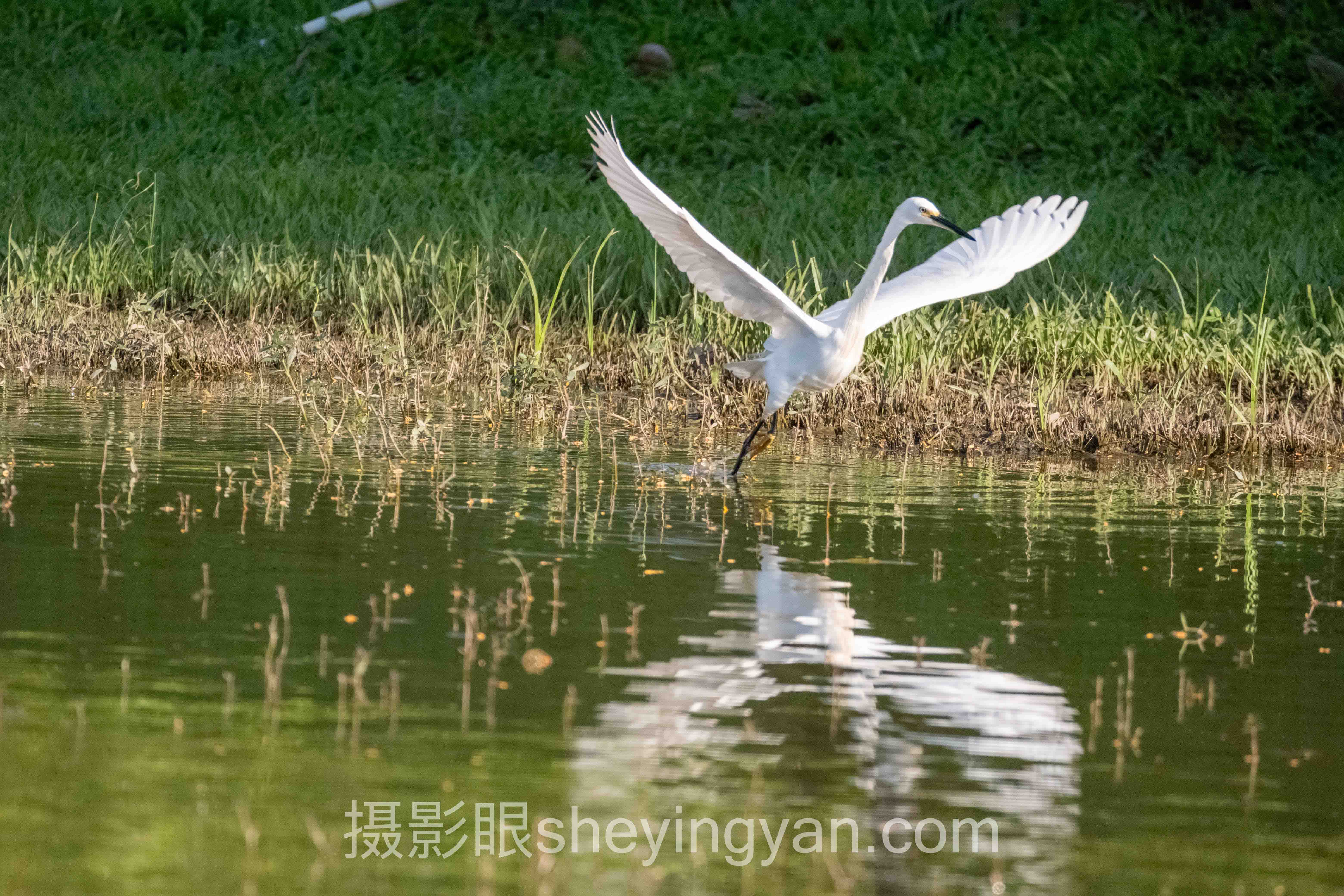深度解析：摄影眼官网会员价格表的核心问题与答案